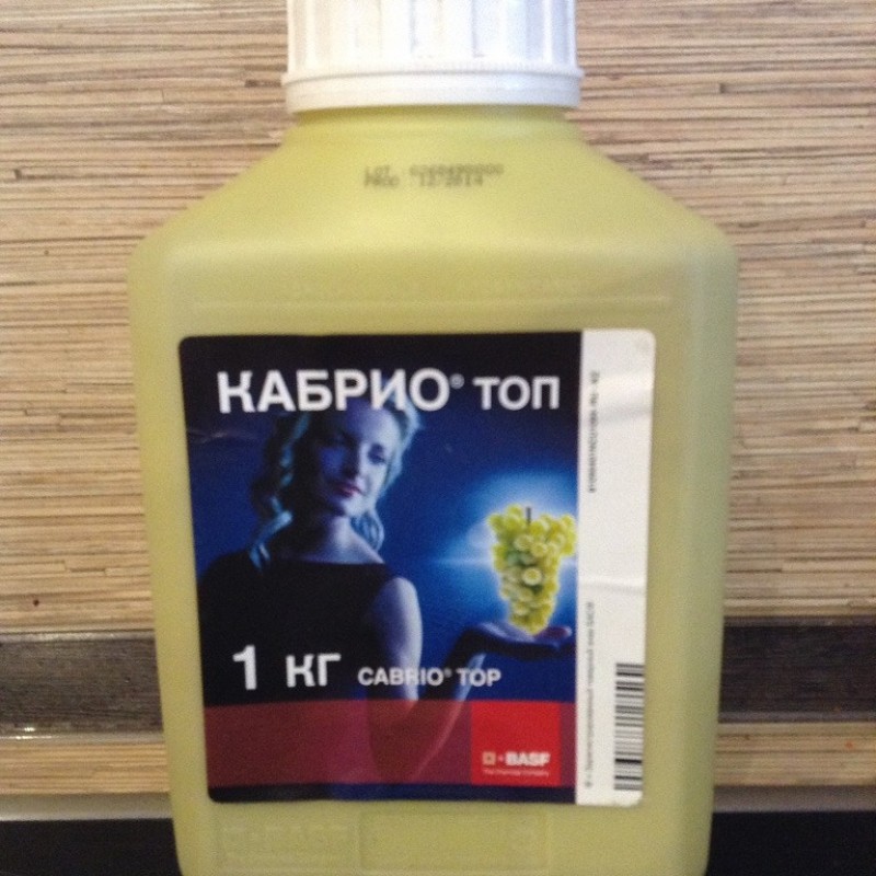 Купить Кабрио Топ В Интернет Магазине